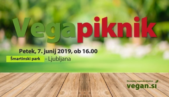 vega_piknik_smartinska_2019.jpg