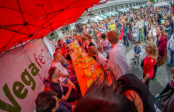 vegafest17-5.jpg