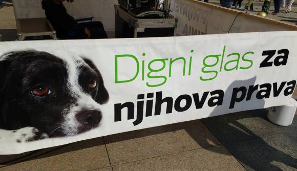 novica_zegevege_2017_5.jpg