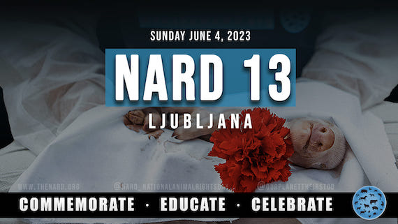 NARD banner_570.jpeg
