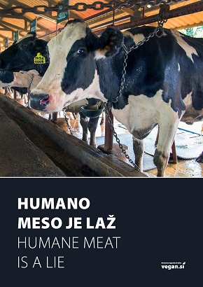 Slika - shod za dan živali-20.jpg