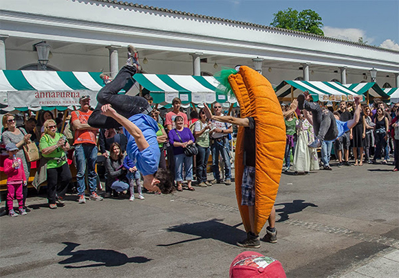 novicka-vegafest-2016-4.jpg