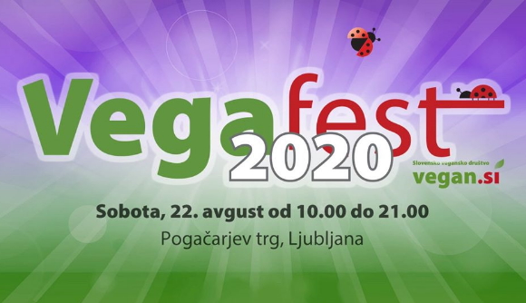 vegafest_20.jpg