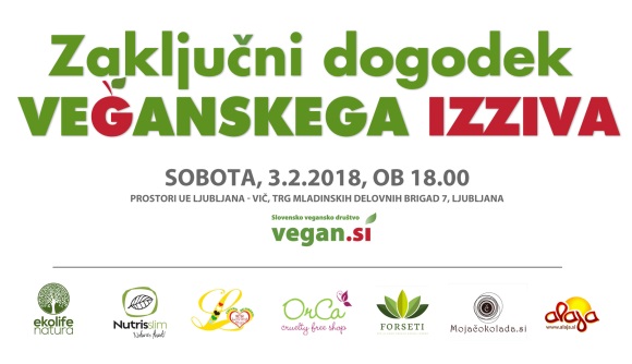 dogodek_zaklucno_predavanje_EVI_2018.jpg