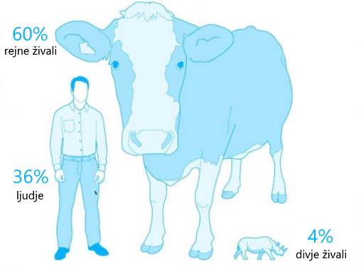 biomasa-1.jpg