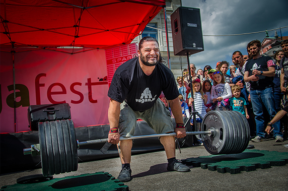 vegafest17-2.jpg