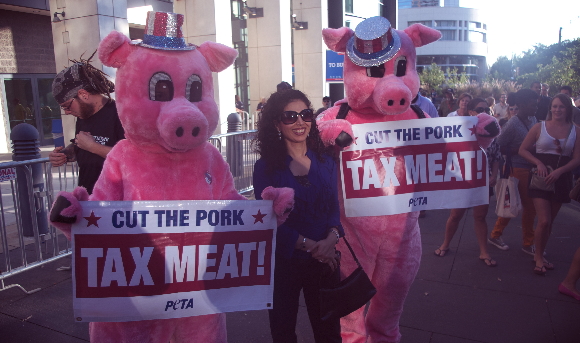 tax_meat_1.jpg