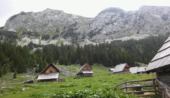 Planina_v_lazu.jpg