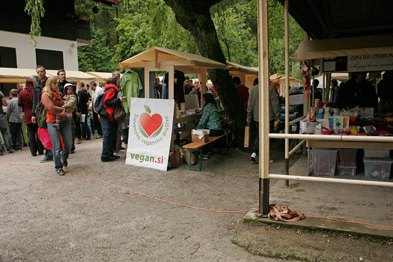 _MG_5562.jpg