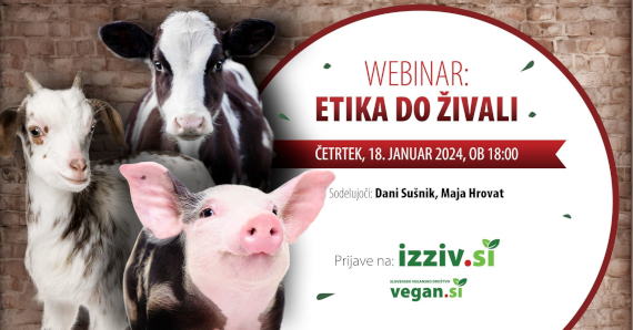 webinar 2 – kopija 570.jpg