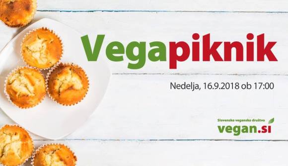vegan_piknik_september_2018.jpg