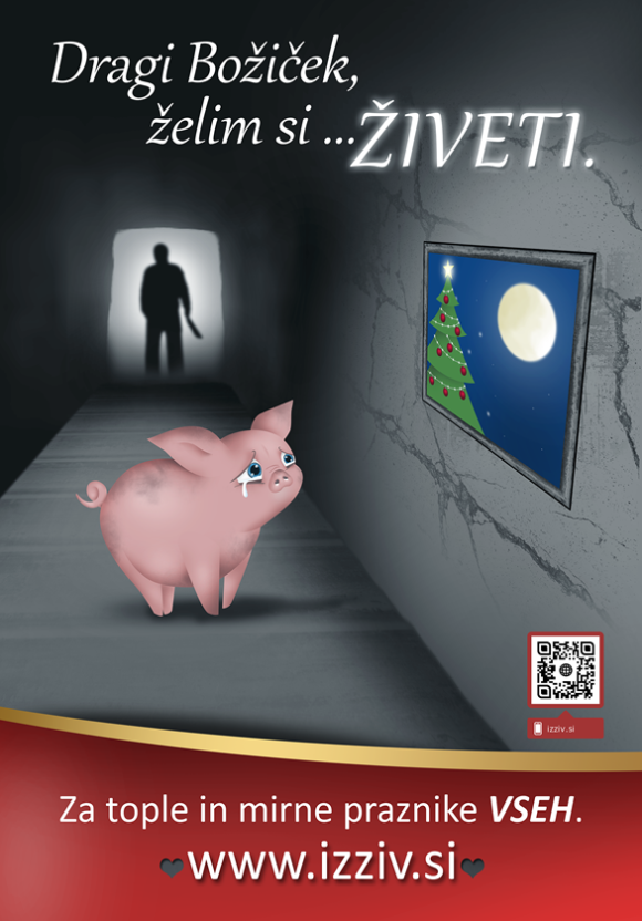 plakat_BOZIC_2018.png