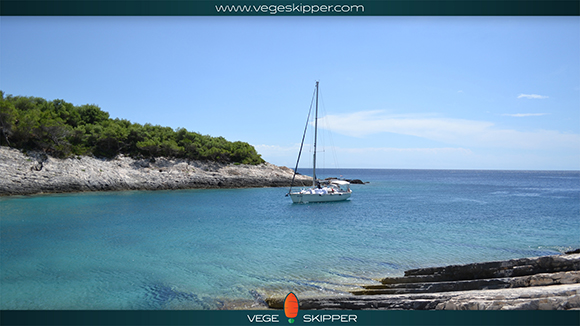 novica-vegge-skipper-1.jpg