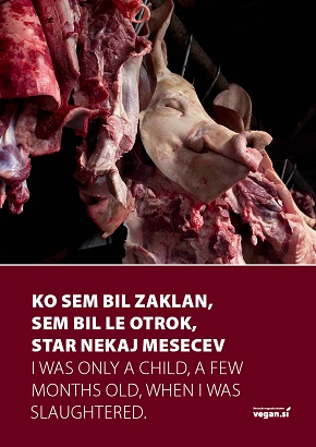 Slika - shod za dan veganstva-4.jpg