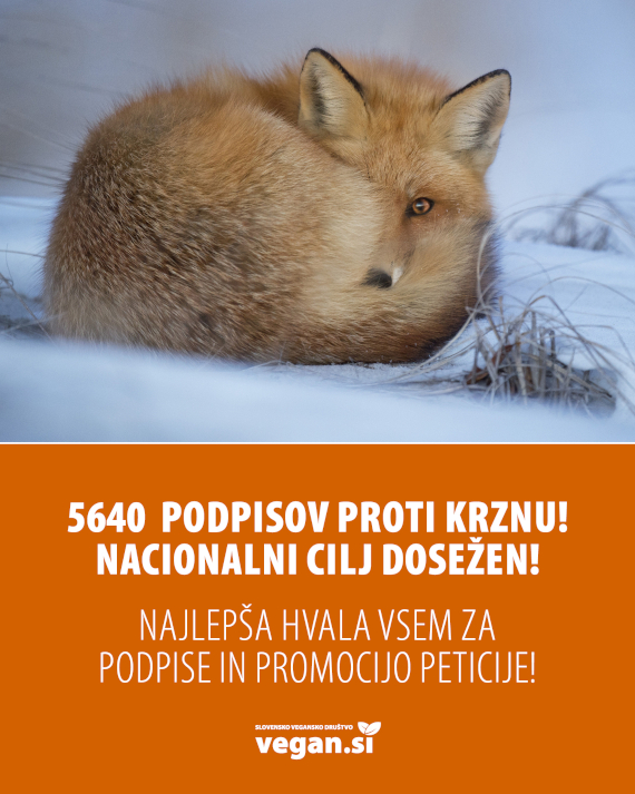 krzno cilj – kopija 570.jpg