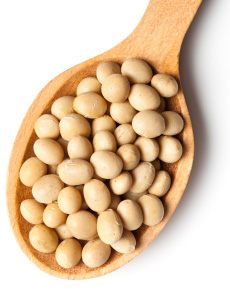 veganstvo-otrok-2.jpg