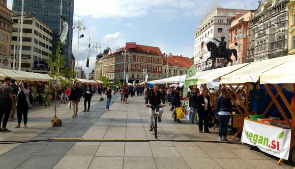 novica_zegevege_2017_10.jpg