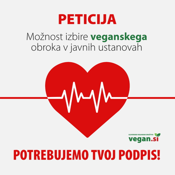 intervju_janja_kogovsek-1.jpg