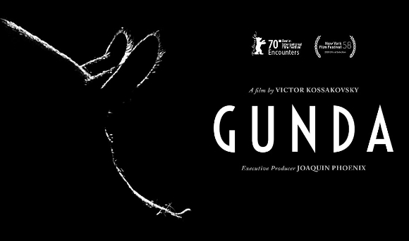 gunda_thumbnail.jpg