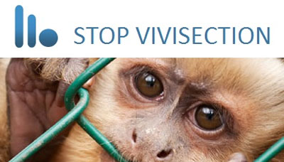 novica_stopvivisection.jpg
