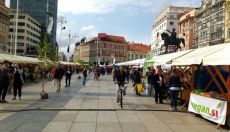 Poročilo s festivala ZeGeVege
