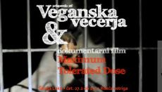 Veganska večerja 