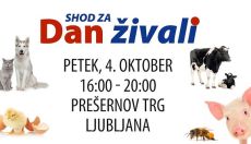 Shod za svetovni dan živali