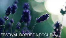Festival dobrega počutja