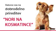 Nori na kosmatince