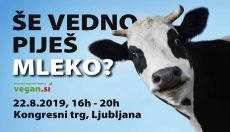 Še vedno piješ mleko?
