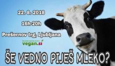 Še vedno piješ mleko?