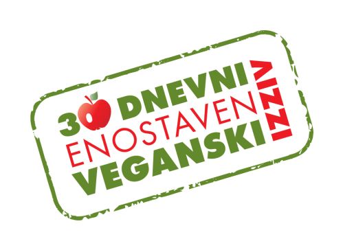 evi_logo.jpg