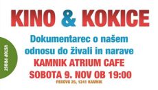 Kino & Kokice